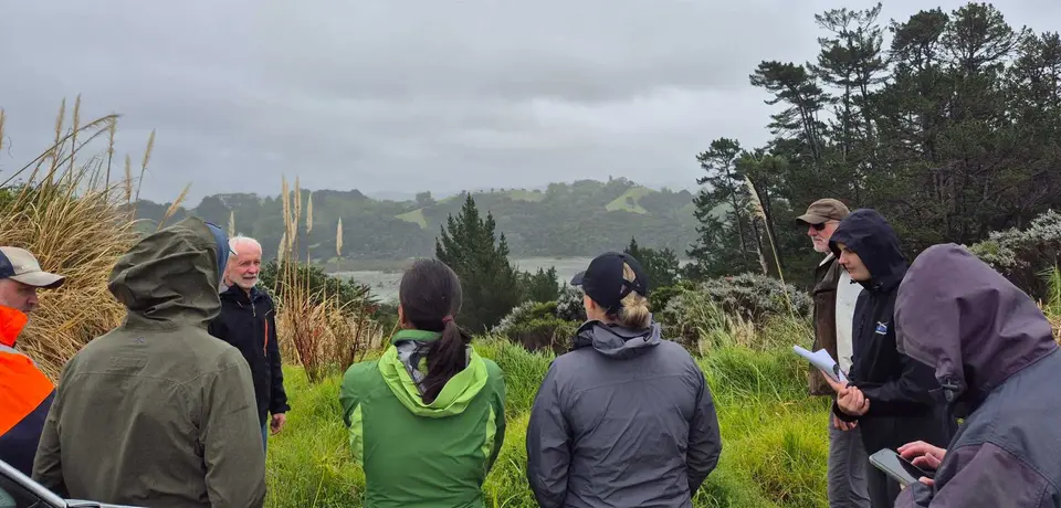 Community members gathered at the iwi pine removal project