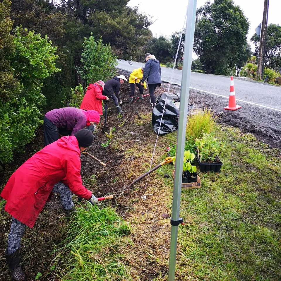 Volunteers planting natives along a roadside bank